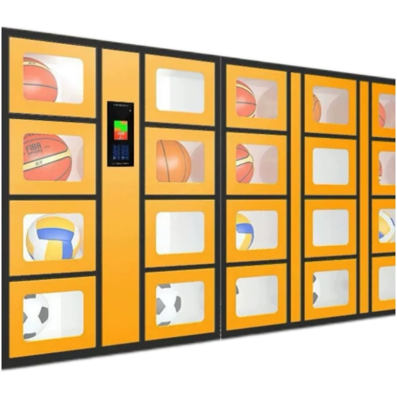 24-hour Smart Sports Equipment - đánh giá và giá Sports Equipment Locker